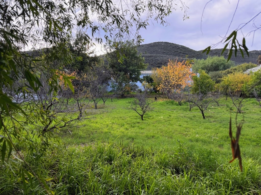 Commercial Property for Sale in Barrydale Western Cape
